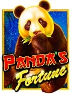 การพนัน เล่นปอ: สนุกได้ง่ายกับโหมดทดลองเล่น